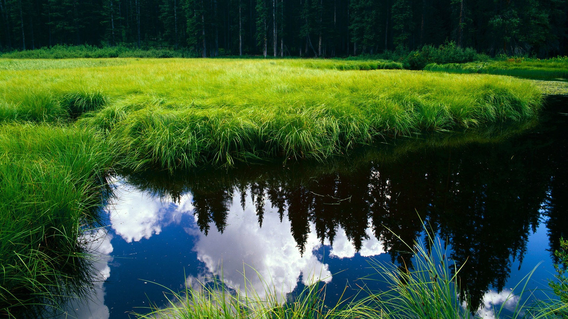 北欧海盗逆转蓝武士!拉什福德冷血绝杀诠释何为关键先生