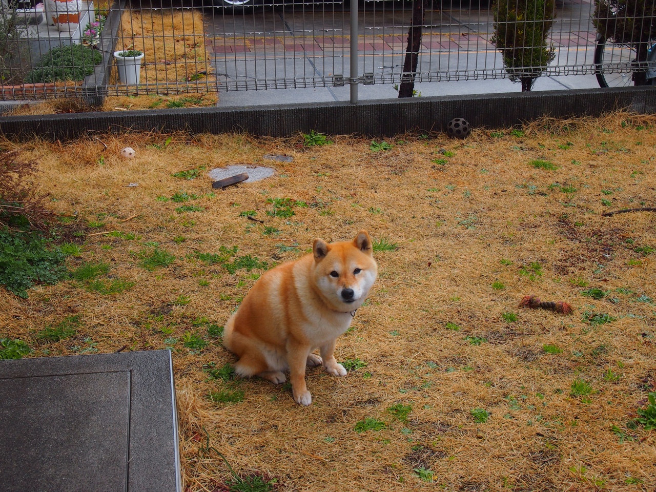 东方闪电击沉宇宙队，韩国球队速胜巴萨，巴斯托尼成隐形引擎