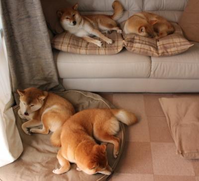 击碎与新生，当铁血与才华重绘足球版图