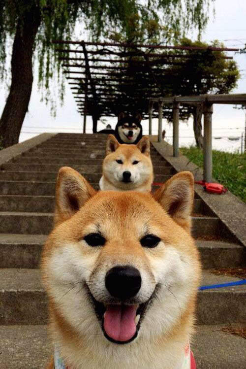 钢与火，当努涅斯在西甲德比中点亮利刃，阿根廷在远方燃烧着同样的灵魂