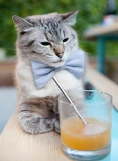 红色狂潮席卷夏洛特—风城不眠夜，德罗赞绝杀续写公牛抢七传奇