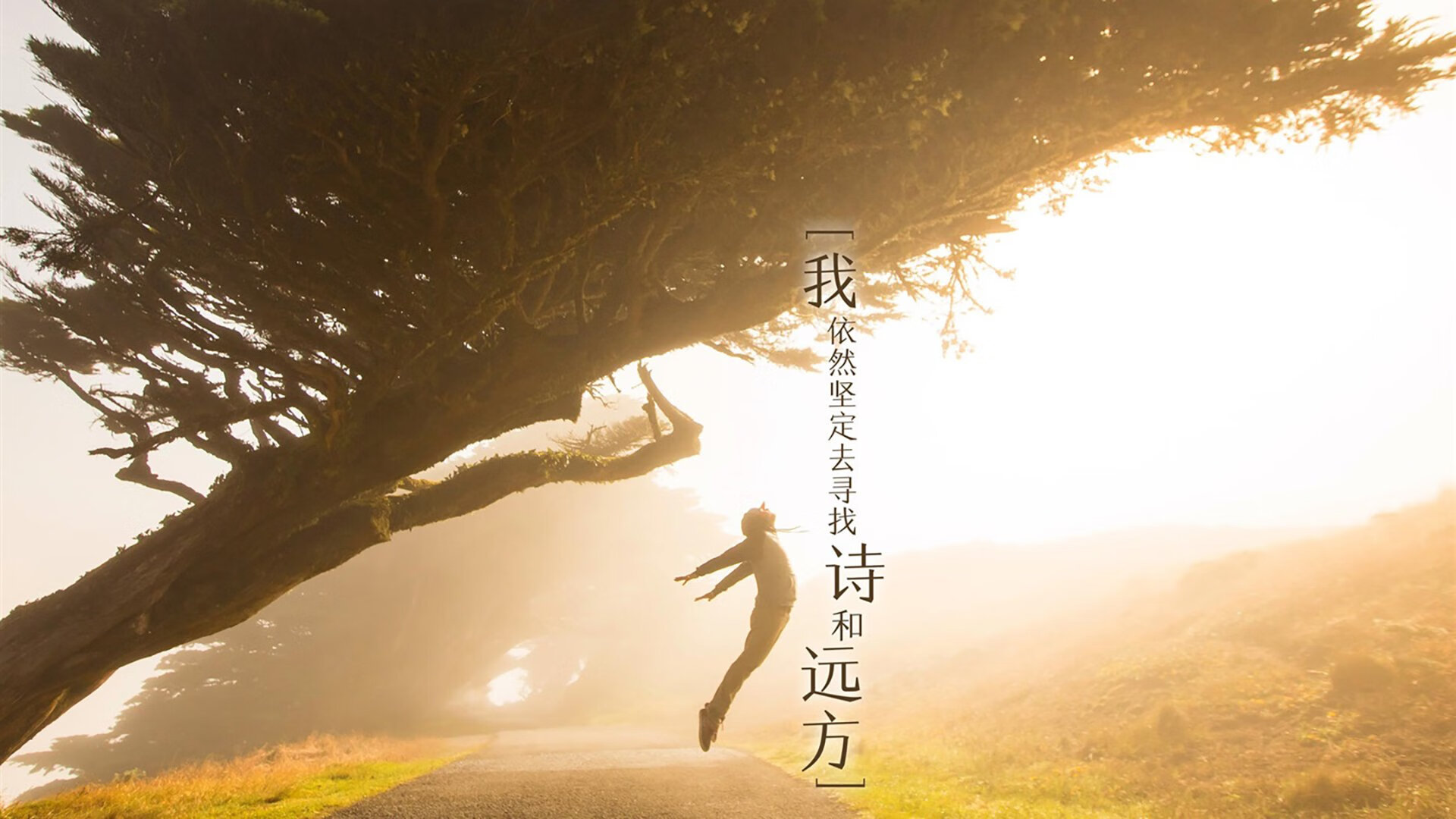 铁血篮网以智慧拆解南粤雄狮，贝恩化身战术密钥终结悬念