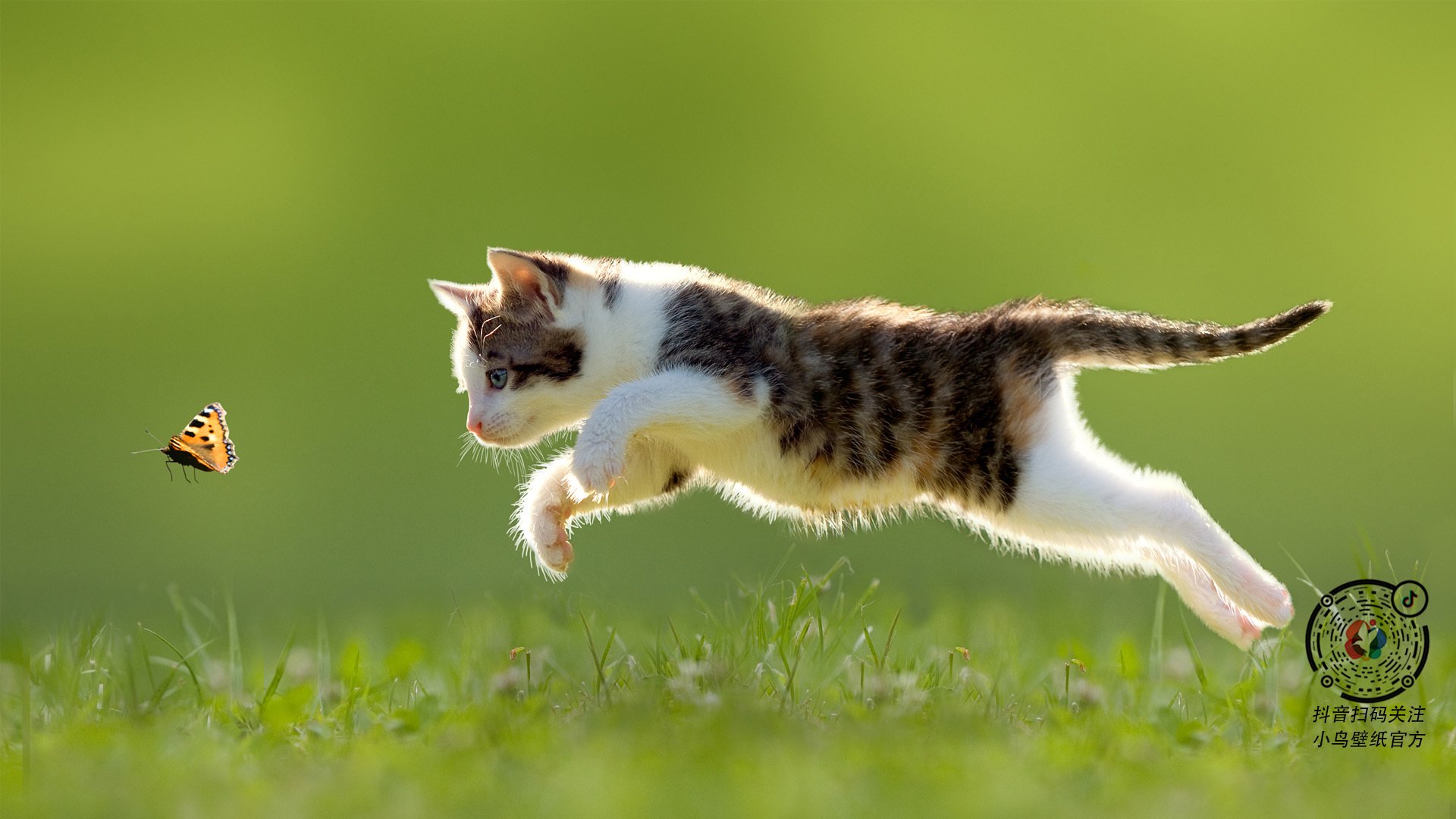 诺坎普的暗影舞者,迪亚斯在国家德比的加冕之夜