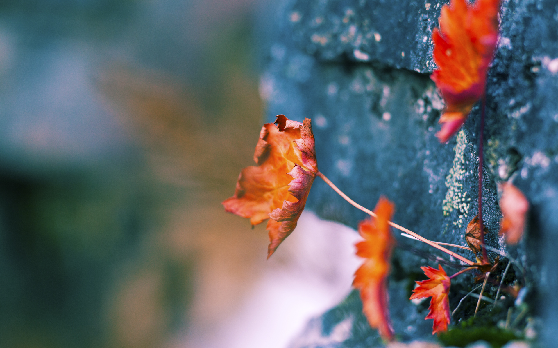 巴尔韦德世界波导火索,挪威三分钟双响终结悬念,西班牙提前撞线