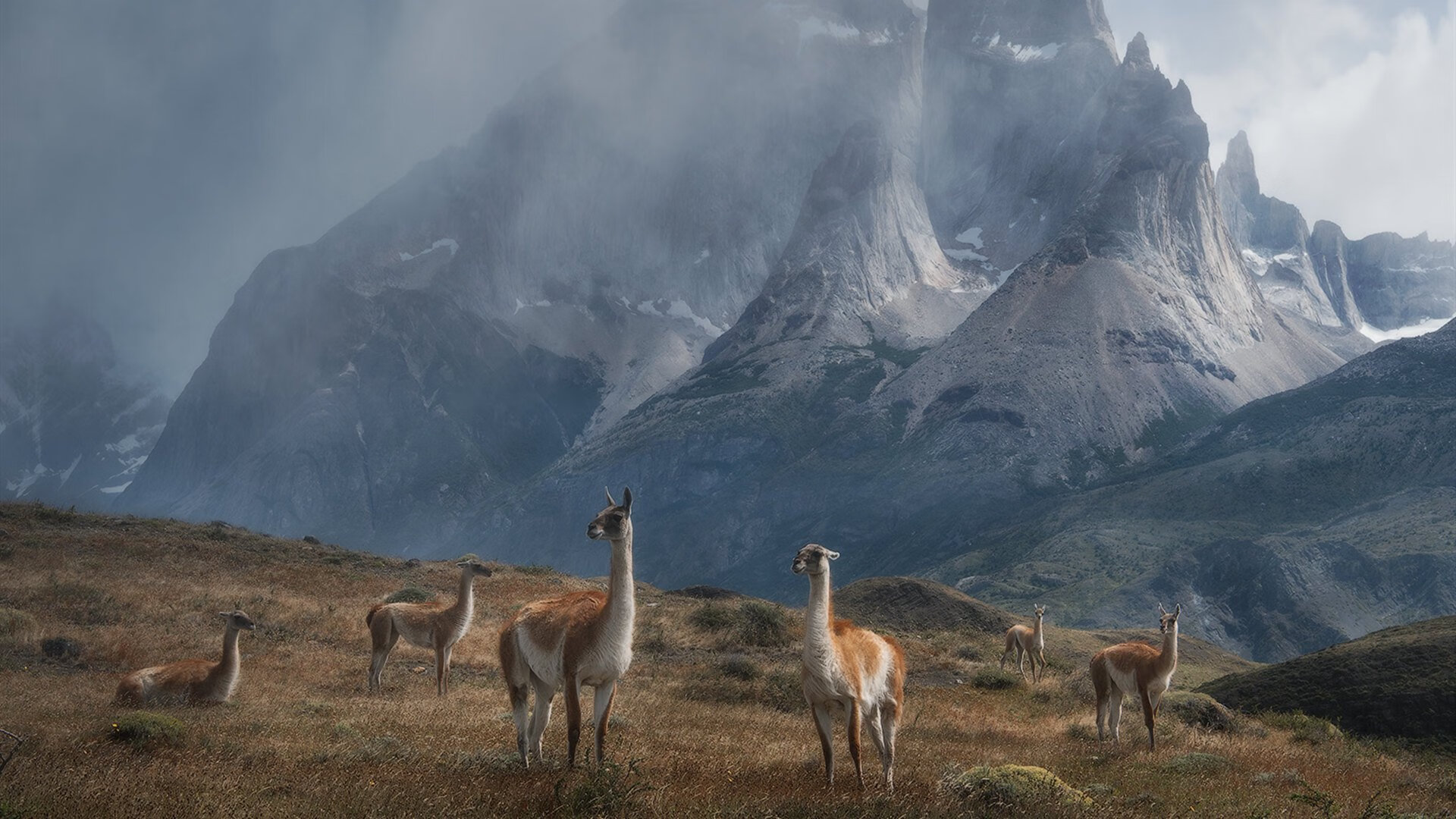 平行宇宙的篮球奇谭，深圳队横扫快船，塔图姆成为跨洋关键先生