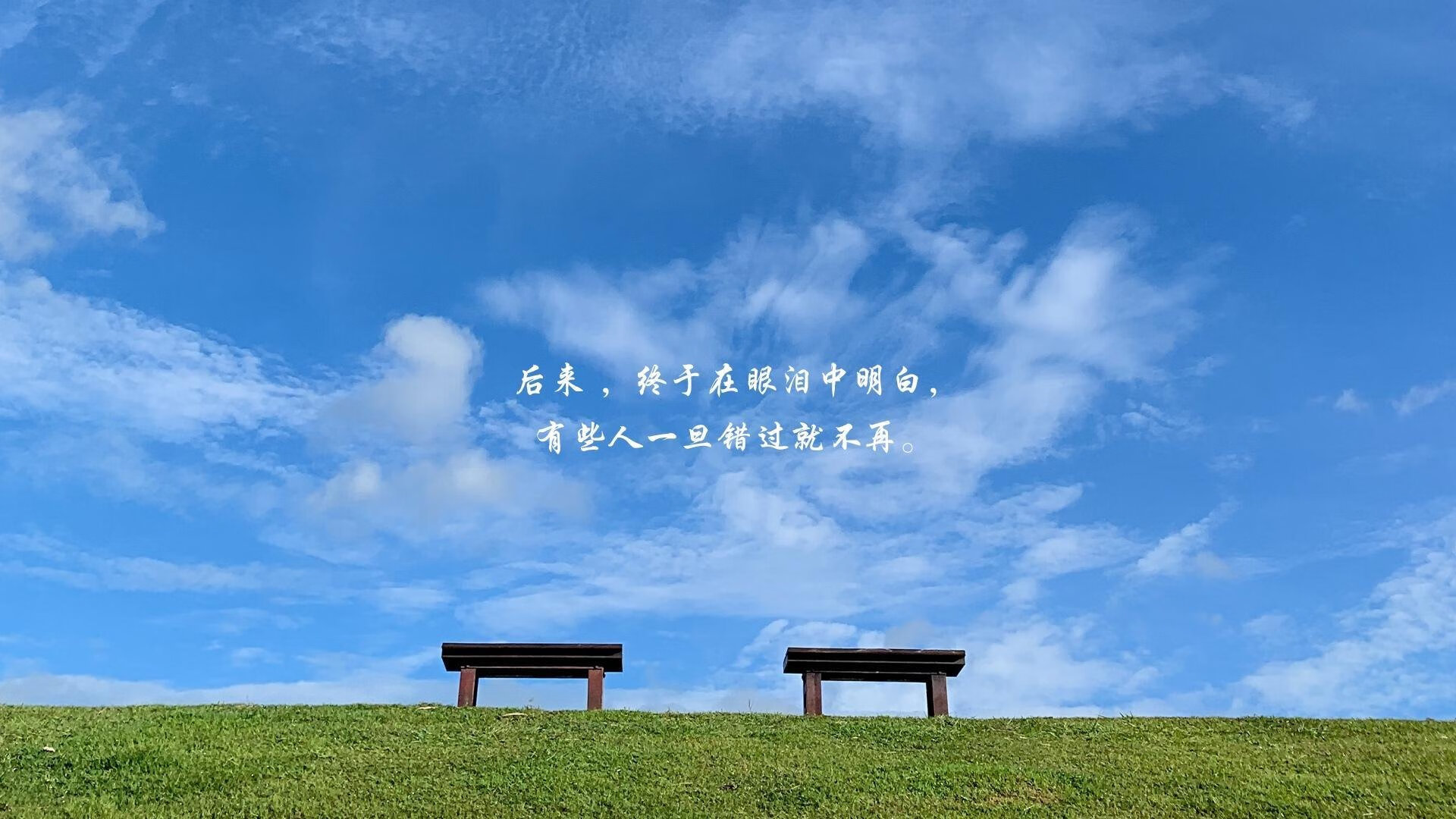 撕裂黑夜的一枪,2026世界杯生死时刻,布克如何完成自我救赎