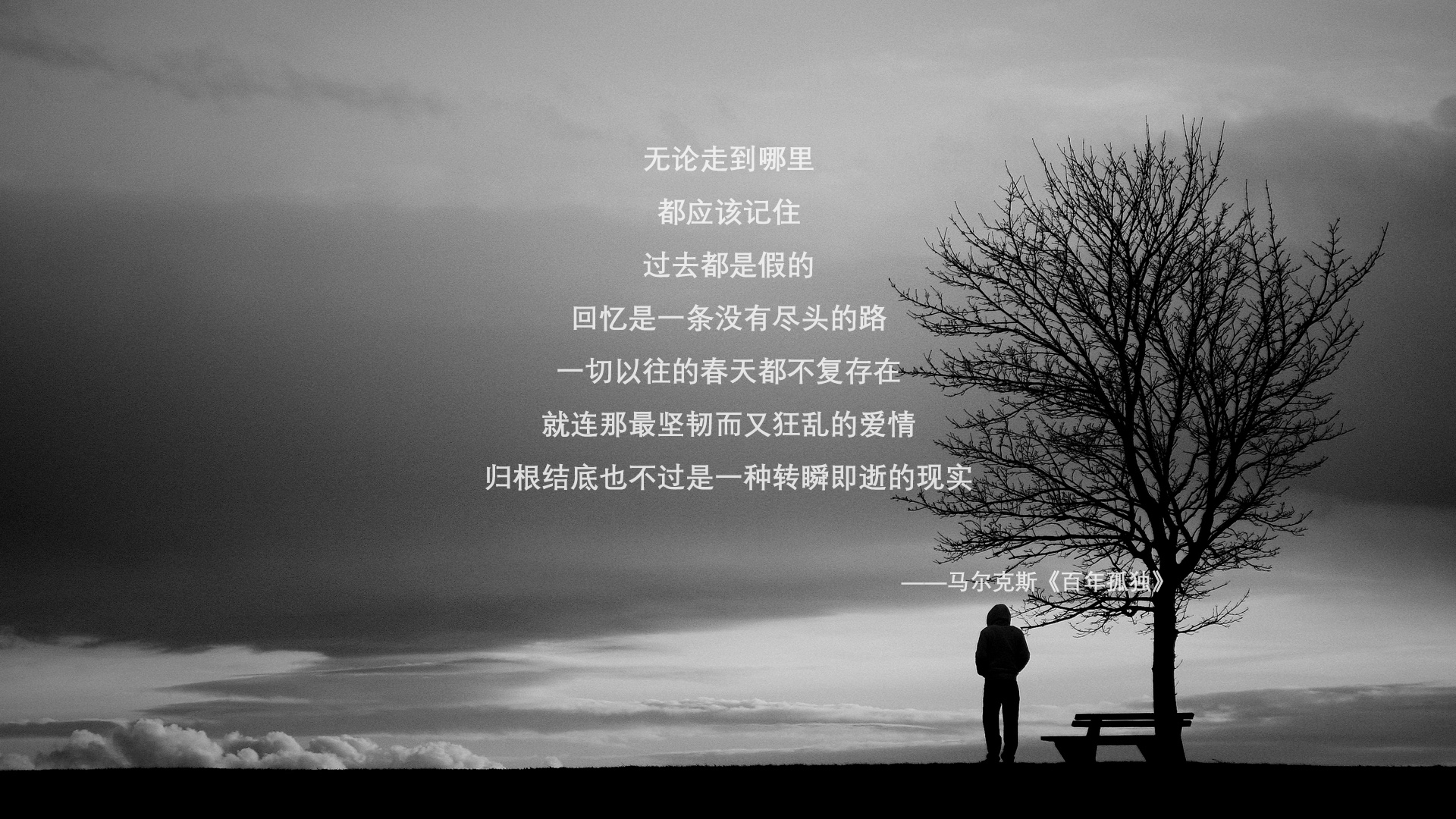 撕裂的剧本,当巴雷拉的魔咒笼罩沙漠之狐,摩洛哥如何用一场非典型胜利改写E组宿命