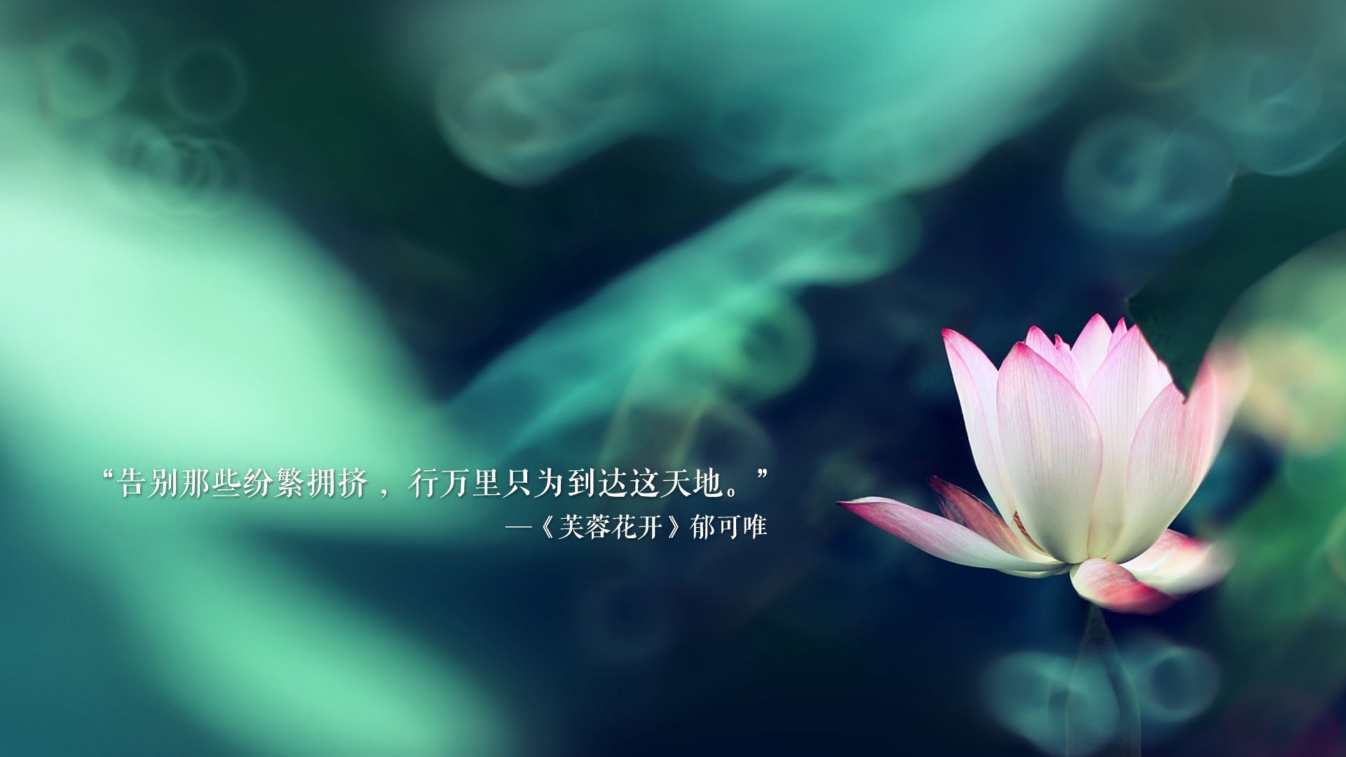 沙漠玫瑰的逆袭,奥斯梅恩穿上帝袍,C组强强对话变成人礼